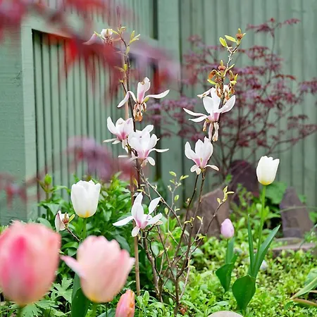 بيت للعطل Rothwell Gardens